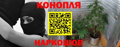 кокаин Будённовск