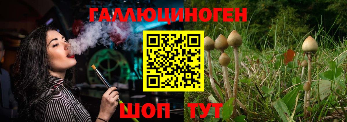 Псилоцибиновые грибы Magic Shrooms Москва